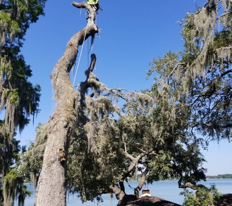 Sansom's Tree Service - Mulberry, FL