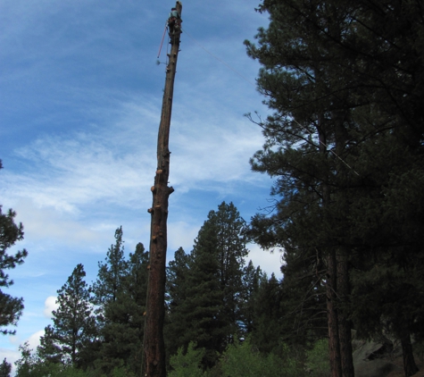 Mount Helena Tree Experts L.L.C. - Helena, MT