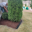 Mower Lawn and Landscape - Tree Service