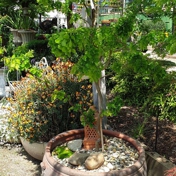 Gallery Image Number 4