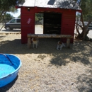 Custom Dog Training Thee Boarding Ranch - Dog & Cat Furnishings & Supplies