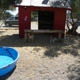 Custom Dog Training Thee Boarding Ranch