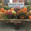 Barbott Farms & Greenhouses gallery