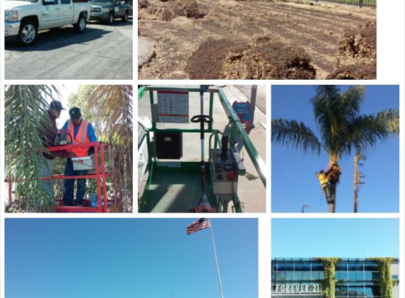 Environmental Landscaping - Van Nuys, CA