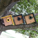 JCS Wildlife - Gift Shops