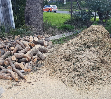 Global Arborist Australia - Port Melbourne, VIC
