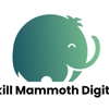 Skill Mammoth Digital gallery