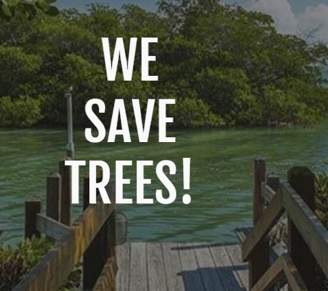 Bay City Tree Service - Saint Petersburg, FL. We Save Trees