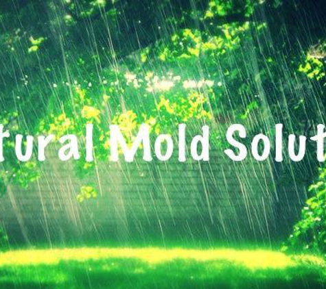 Natural Mold Solution - Brentwood, TN