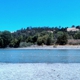 Del Valle Regional Park