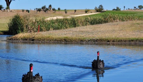 Longyard Golf - Hillvue, NSW