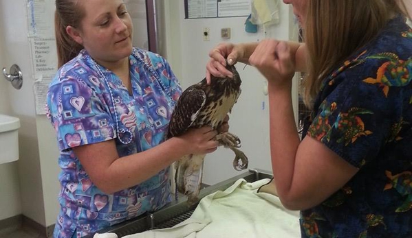 Canyon Crossroads Animal Hospital. - Tijeras, NM