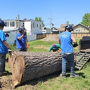 Patriot Tree Experts - Tree Service