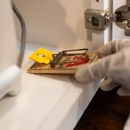 Critter Control - Pest Control Services