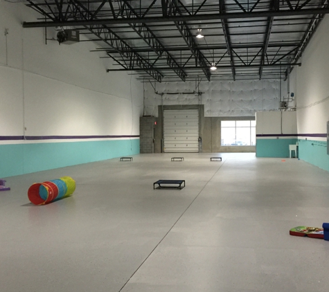 The Crate Xscape - Sterling, VA. 6200 sq ft Dog Play Area!