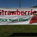 Miller Farms Market - Fruit & Vegetable Growers & Shippers
