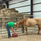 Equine Experiential Education Association - E3A