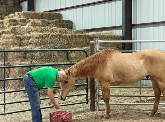 Equine Experiential Education Association - E3A - Reno, NV