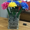 Pediatric Dentistry of Brandon gallery