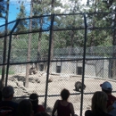 Big Bear Alpine Zoo at Moonridge - Tourist Information & Attractions