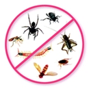 Harris Pest Control - Pest Control Services