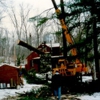 All-Pro Tree Service gallery
