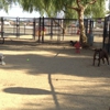 Menifee Dog Park gallery