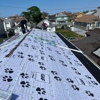 Citywide Roofing & Gutters gallery