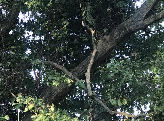 The Champion Tree Care - Pulaski, TN