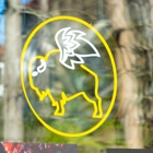 Buffalo Wild Wings
