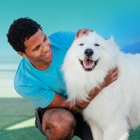 Pet Paradise
