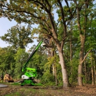 Easy Tree Service