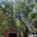The Tree Boyz - Logging Companies