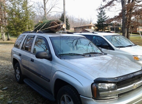 Fleming's Christmas Tree Farm - Indiana, PA