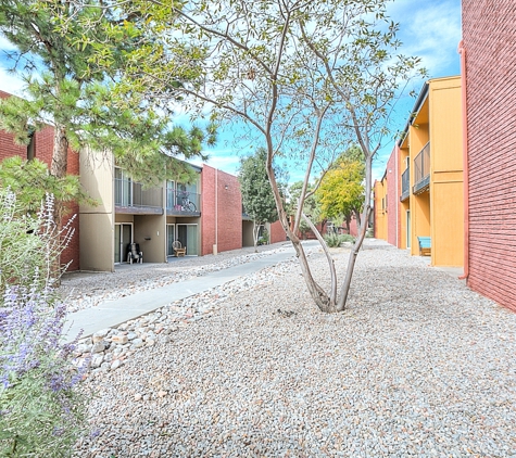 Arioso Apartments - Albuquerque, NM
