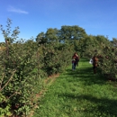 Oriole Springs Orchard - Historical Places