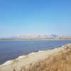 Alviso Marina County Park gallery