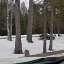 Up North Lodge - Taverns