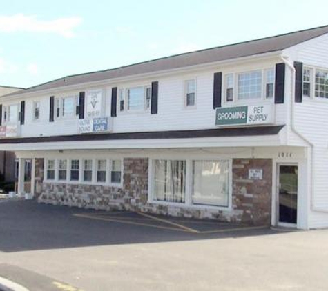 All Pets Vet Hospital - Branchburg, NJ