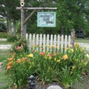 Daylilies of the Valley - Nurseries-Plants & Trees