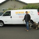 Sewer Rat Drain Cleaning - Plumbers