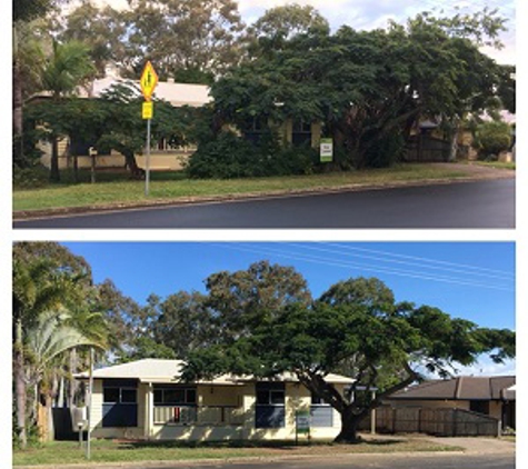 Active Tree Fellas - Urangan, QLD
