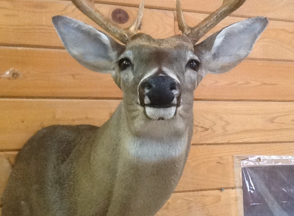 Island Taxidermy - Roper, NC