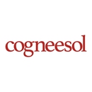 Cogneesol Inc. - Business Coaches & Consultants