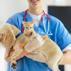 Audubon Animal Medical Center