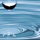 Aqua Otter - Water Treatment Equipment-Service & Supplies