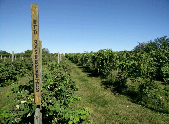 Fabbioli Cellars - Leesburg, VA