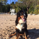 Glencoe Beach - Boat Storage