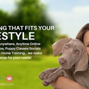Go Anywhere Dog - Dog Trainer - Eagan - Pet Training