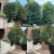 Yard Guard Property Services - Property Management